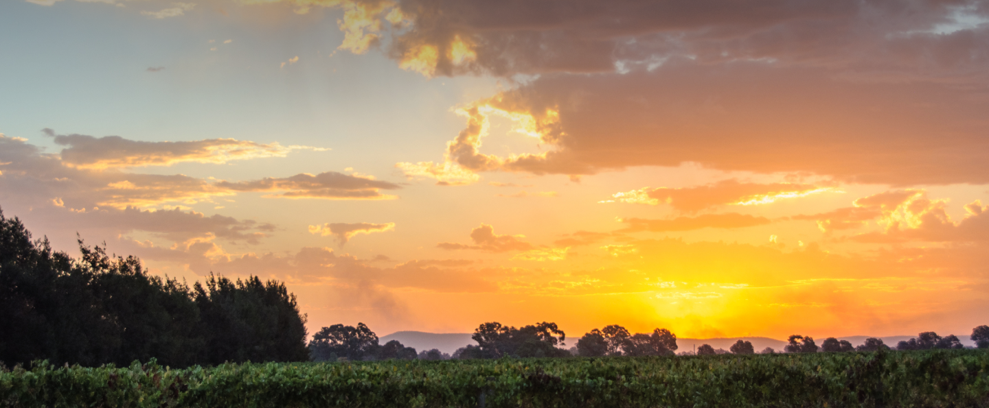 files/Wangaratta-banner.png