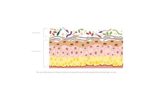 Unlocking the Secrets of Your Skin Microbiome: Your Body's Tiny Ecosystem